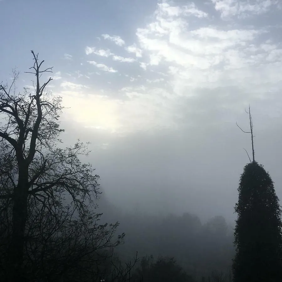 Country house Villa Baronzola Montevarchi Italy