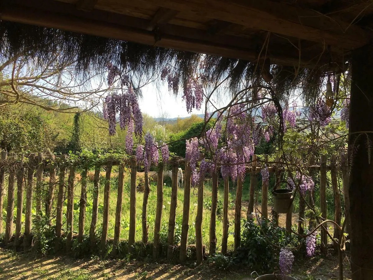 Country house Villa Baronzola Montevarchi
